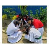 On 24-May-2023, Sowing of watermelon, moong and some flower seeds in the school campus(garden)..