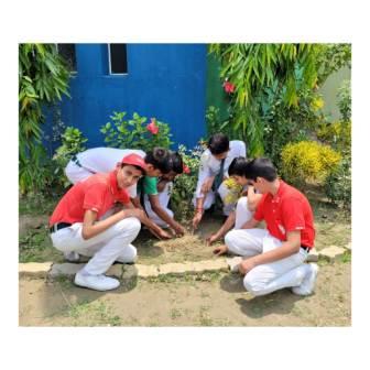 On 24-May-2023, Sowing of watermelon, moong and some flower seeds in the school campus(garden)..